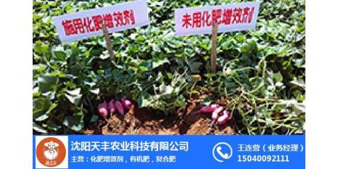 植物營養增產肥市場新機遇 天豐農業引領高效種植新浪潮