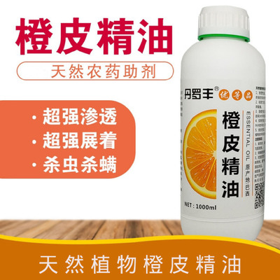 返鄉創業展宏圖 植物增效劑點亮鄉村振興新路徑