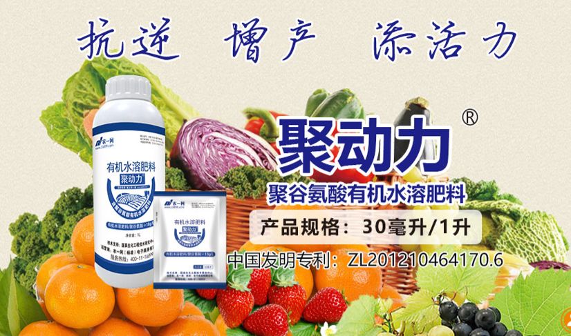 肥料檢出植物生長調節劑最高可處20倍罰款，聚谷氨酸或成安全增效新選擇