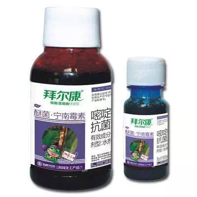 盆景花卉常見殺菌劑與植物增效劑的優(yōu)劣性對(duì)比與應(yīng)用指南